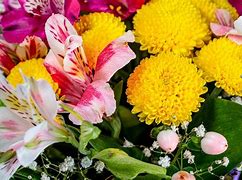Image result for Funeral Flowers White Background
