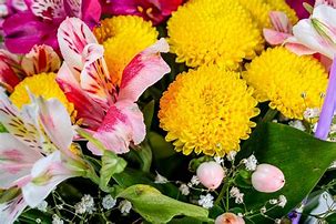 Image result for Flower Background Tumblr iPhone