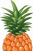 Image result for Pineapple Shape