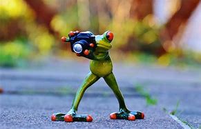 Image result for Funny Photography Ideas