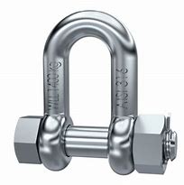 Image result for Load Rated SS316 D Shackle