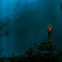 Image result for Deep Sea Scuba Diving