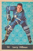 Image result for Toronto Maple Leafs Blazer