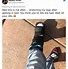 Image result for Funny Outdoors Injuries