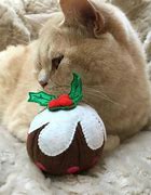 Image result for Catnip Christmas Toys