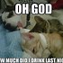 Image result for Cute Baby Cats and Dogs Memes