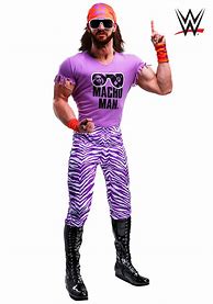 Image result for WWE Costumes for Men