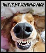 Image result for I Can See the Weekend Meme