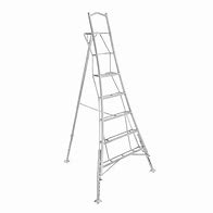 Image result for Adjustable Ladder
