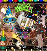 Image result for Animated Happy New Year Cat