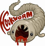 Image result for Hookworm Clip Art