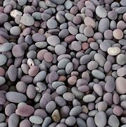 Image result for Pebble Filter Strips