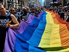 Image result for The Straight Ally Flag