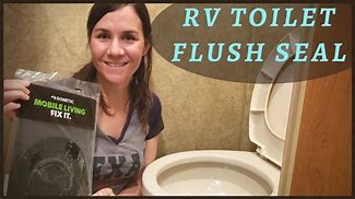 Image result for Vacuum Toilet Flush Push Button