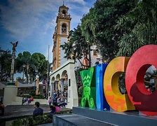 Image result for alop�xico