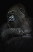 Image result for Gorilla Girl