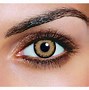 Image result for Honey Contact Lenses