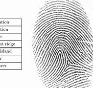 Image result for Fingerprint Minutiae Types
