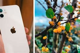 Image result for Every iPhone Camera Test