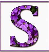 Image result for Uppercase Letter Z in Purple