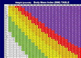 Image result for Bariatric Weight Scale