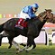 Image result for Racehorse