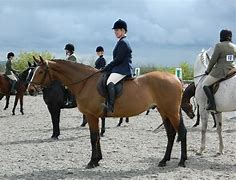 Image result for Rider Riding Horse