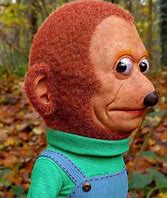 Image result for Meme Looking Monkey Puppet
