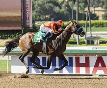 Image result for Santa Anita Best Horse Racing Pictures