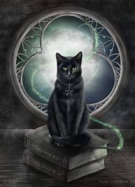 Image result for Black Cat Witch