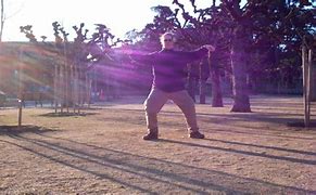 Image result for Tai Chi Wu Form