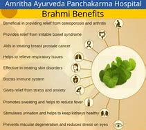 Image result for Brahmi for Kids