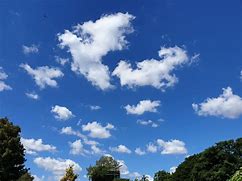 Image result for cumulus_fractus