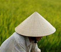Image result for Non La Vietnamese Hat