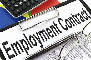Image result for Example of Employee Contract