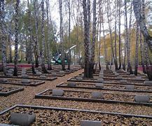 Image result for Челябинск Памятник Скорбящеи Матери