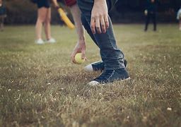 Image result for Backyard Cricket