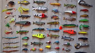 Image result for Fishing Bait and Tackle