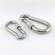 Image result for Snap Hook Gate