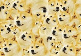Image result for Dog Meme Wallpaper