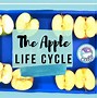 Image result for Apple Boat Drawing