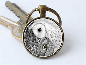Image result for Mystical Owl Key