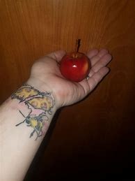 Image result for Smallest Apple