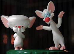 Image result for Pinky and the Brain Cartoon Meme