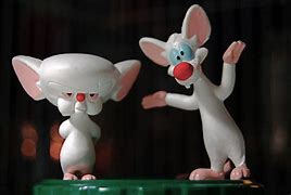 Image result for Pinky and the Brain Take Over the World Quote