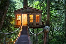 Image result for tree houses