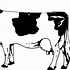 Image result for Cow Clip Art Black and White