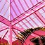 Image result for Pink Tree Aesthetic