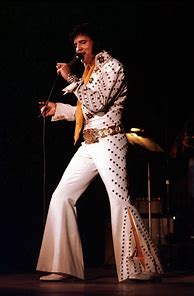 Image result for Elvis Presley Real Photos in Concert