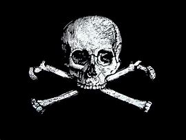 Image result for Pic of Skull and Crossbones
